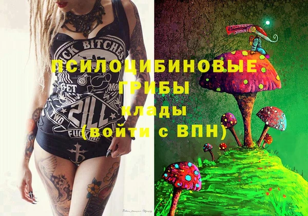 прущие крисы Абаза