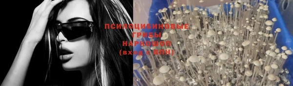 прущая мука Абинск