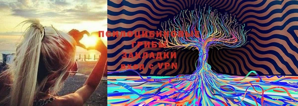 MDMA Переславль-Залесский