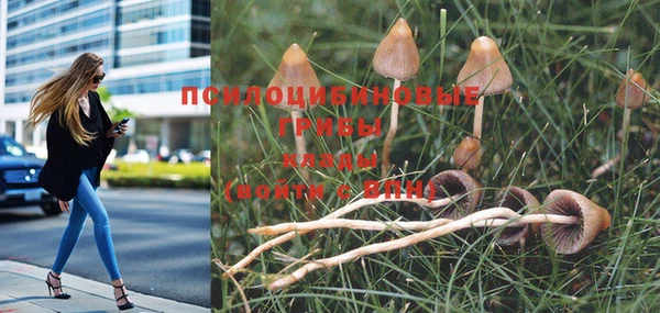 не бодяженный Абдулино