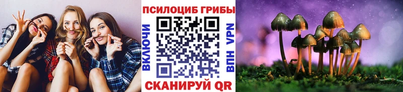 Галлюциногенные грибы MAGIC MUSHROOMS  наркота  Яранск 
